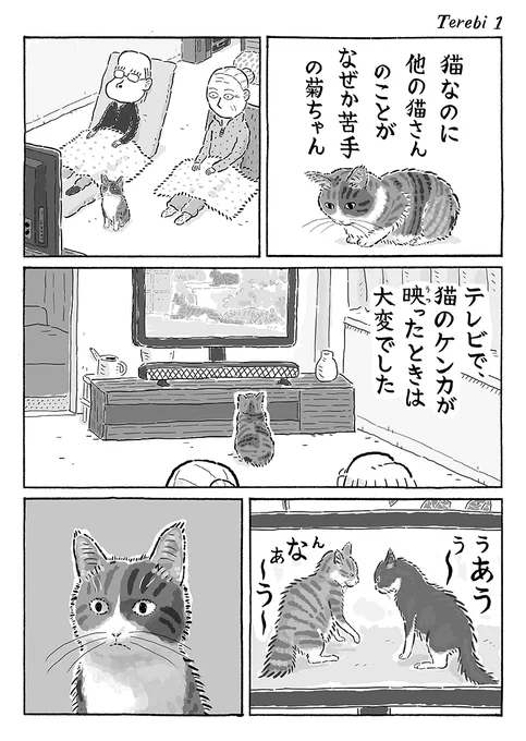 2ページ猫漫画「テレビの中の猫」 #猫の菊ちゃん 