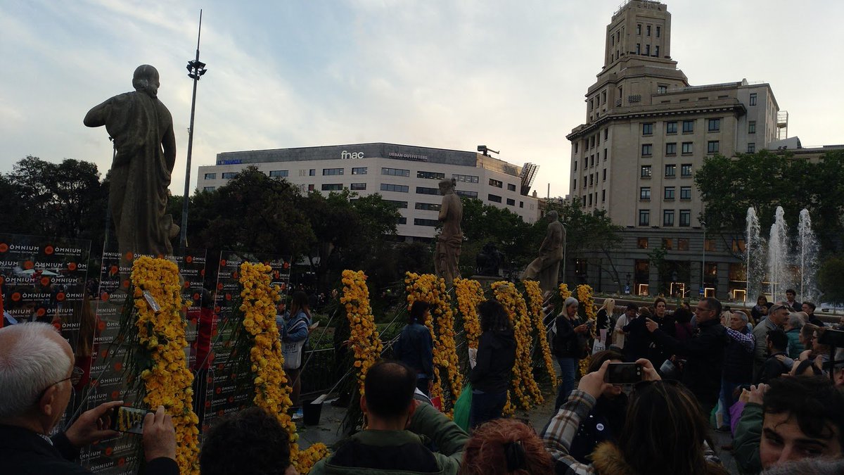 pacaolat's tweet image. 🌹📙 Bona diada de Sant Jordi!🐉 #SantJordi2020