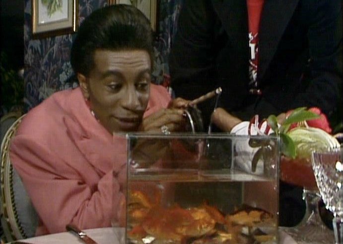 KrytenRD's tweet photo. Itโs the #BestOfSmeg semi-finals!
#GunmenOfTheApocalypse vs
#DimensionJump
and...
#Quarantine vs
#BetterThanLife
#RedDwarf https://t.co/AR43V3nSZA