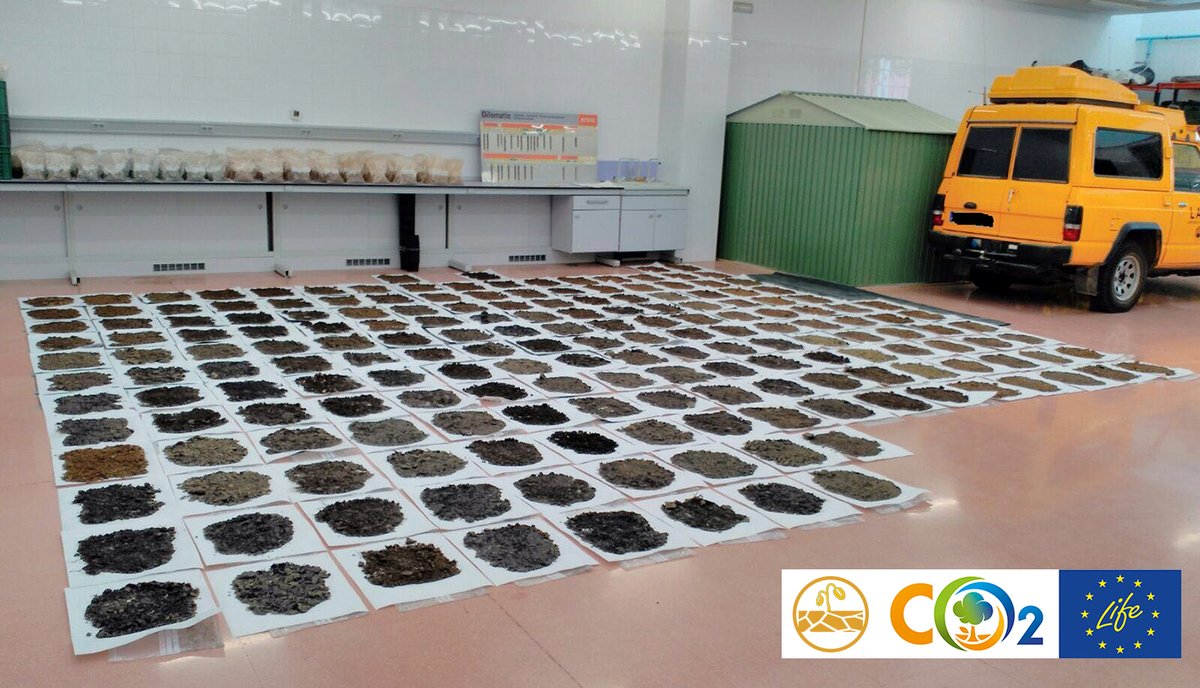 LIFE_FORESTCO2's tweet image. Más de 1.600 muestras de suelo recolectadas en 34 parcelas distribuidas en España y Francia permitirán determinar la influencia de la gestión forestal en la acumulación de Carbono Orgánico en Suelos