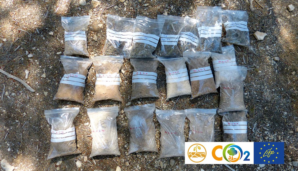 LIFE_FORESTCO2's tweet image. Más de 1.600 muestras de suelo recolectadas en 34 parcelas distribuidas en España y Francia permitirán determinar la influencia de la gestión forestal en la acumulación de Carbono Orgánico en Suelos