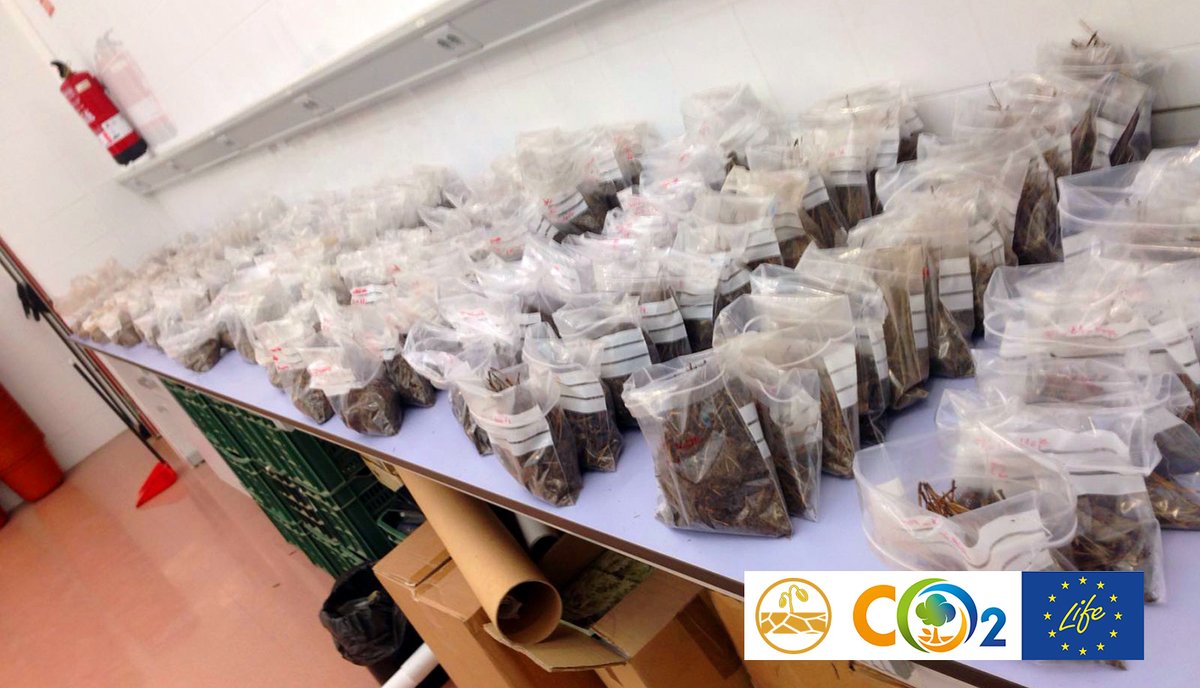 LIFE_FORESTCO2's tweet image. Más de 1.600 muestras de suelo recolectadas en 34 parcelas distribuidas en España y Francia permitirán determinar la influencia de la gestión forestal en la acumulación de Carbono Orgánico en Suelos