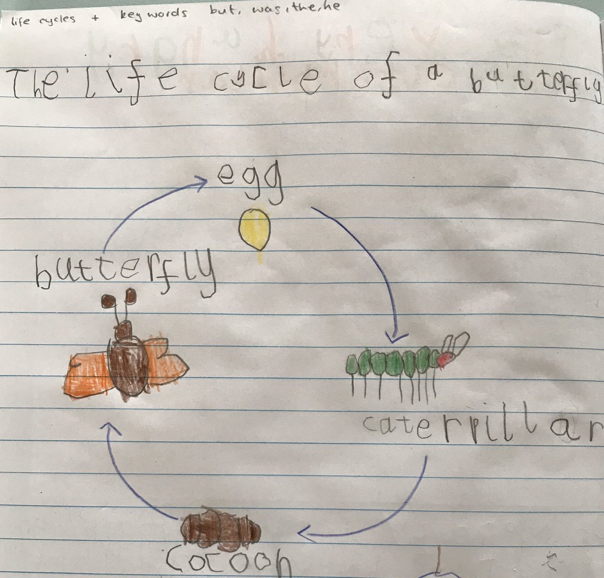 Nicola J tweet media