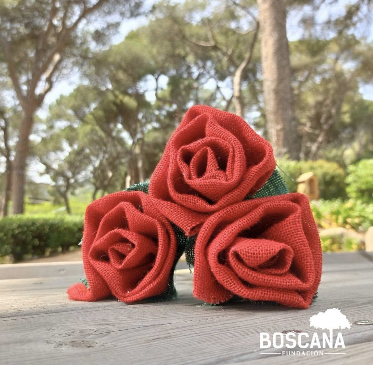 FBoscana's tweet photo. Feliz Sant Jordi! En Boscana seguimos todos bien y celebramos nuestro particular Sant Jordi con rosas y libros en el bosque de Boscana. Con ganas de compartirlo pronto juntos! @FBoscana https://t.co/s4TlehonwC