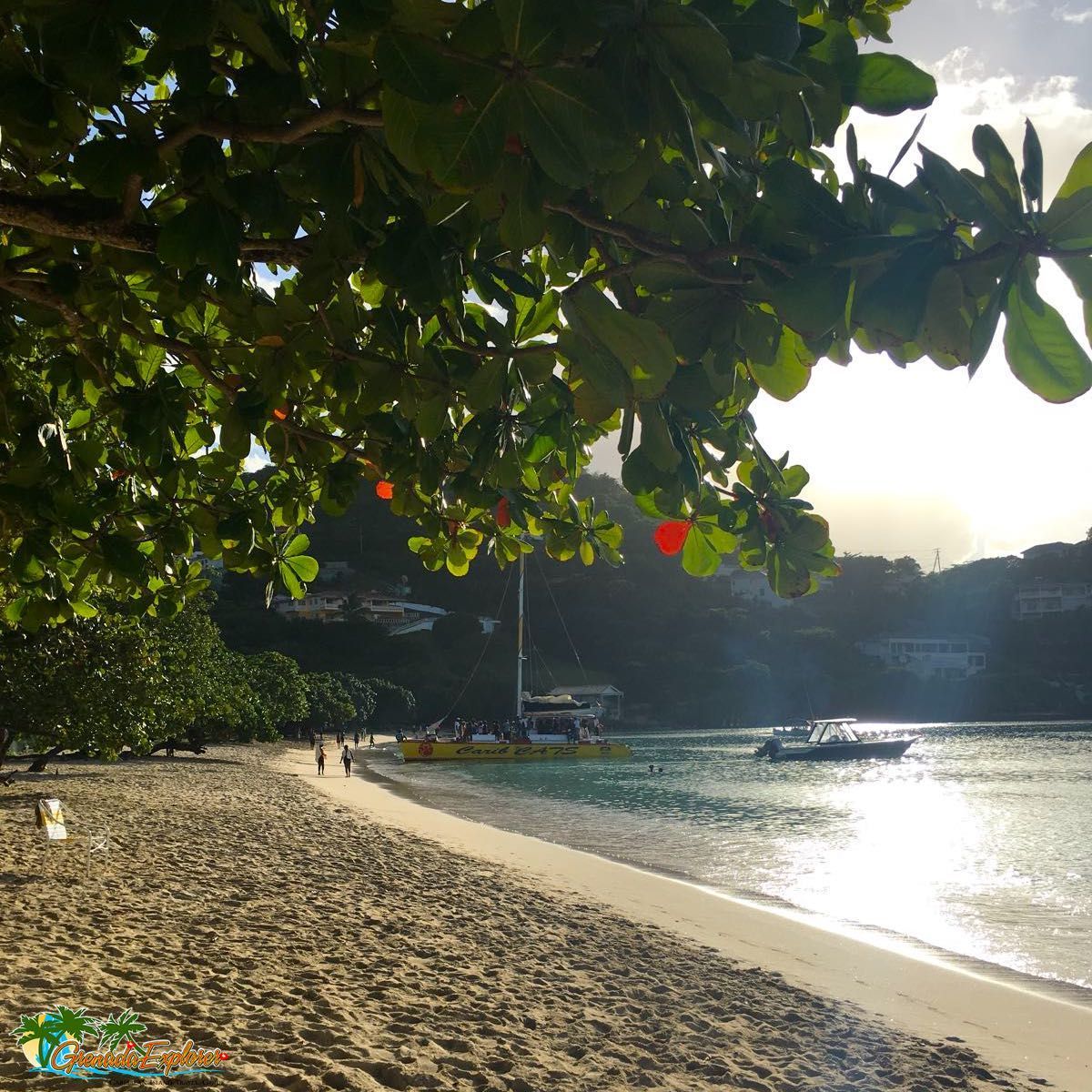 grenadaexplorer's tweet image. Day cruises ⛵️ are pure fun in #Grenada - watch out for the famous 🍹 local rum punch! For exclusive #TravelTips visit grenadaexplorer.com ☀️ #TimeToLime #ILoveGrenada #DreamTodayTravelTomorrow #WeBelieveInTravel #GrenadaDreaming #CaribbeanDreaming