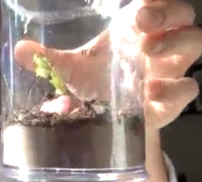 JESSScienceDept's tweet photo. Creating miniature worlds, as a living souvenir of our last IB Biology lesson. Once sealed they will become a unique ecosystem of their own. Lets hope they show the same growth and development as the students who made them. ๐ท๐ฟ๐พ๐ฑ #JESSBiology #JESSCreative #MiniWorld https://t.co/lEAqm1Ccuh