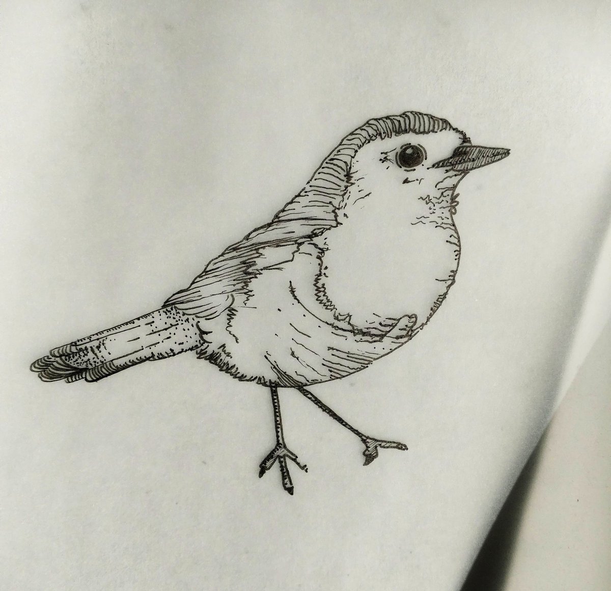 Tryfan/Art tweet media