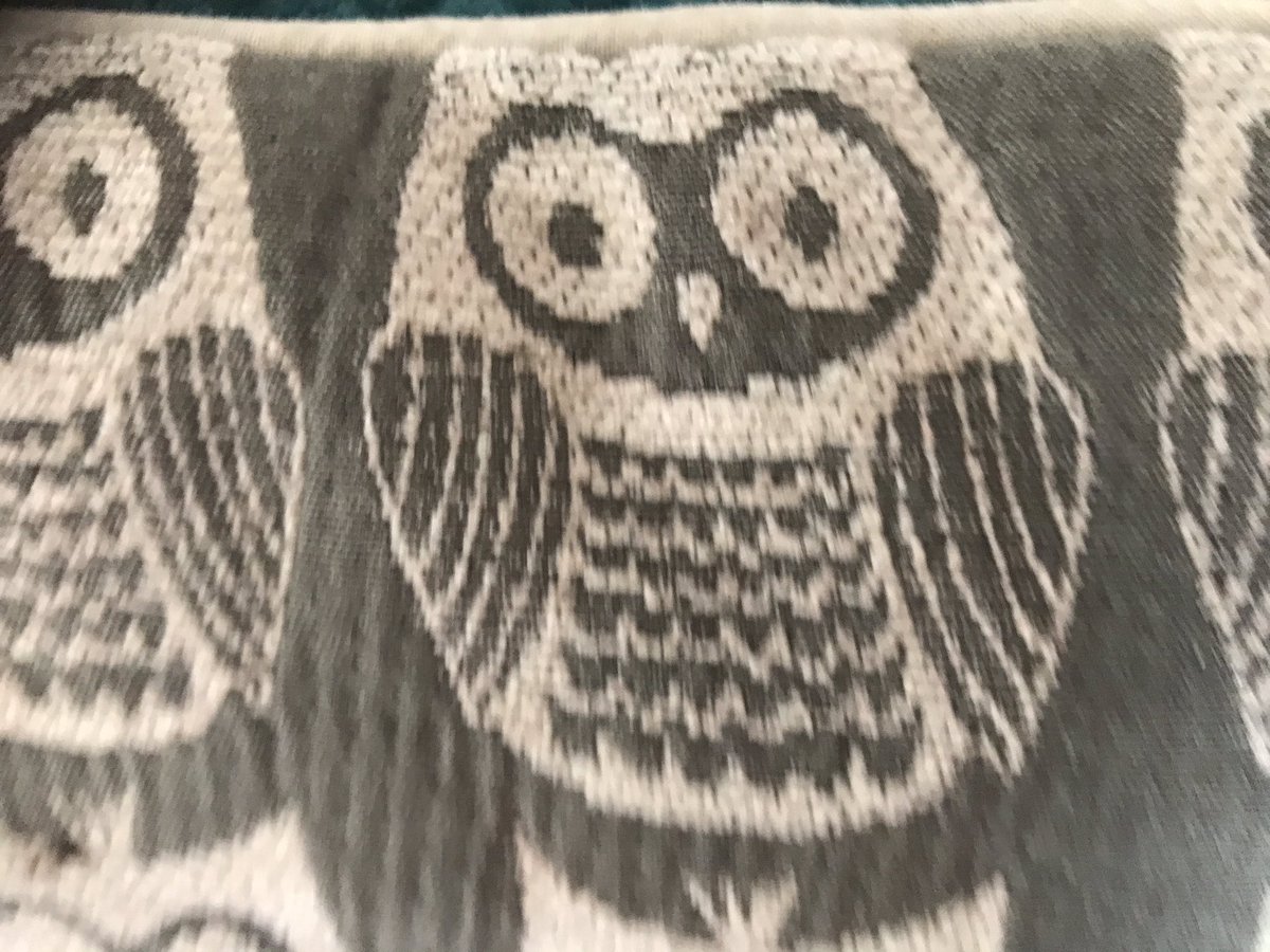 Sacred Heart Primary School tweet media