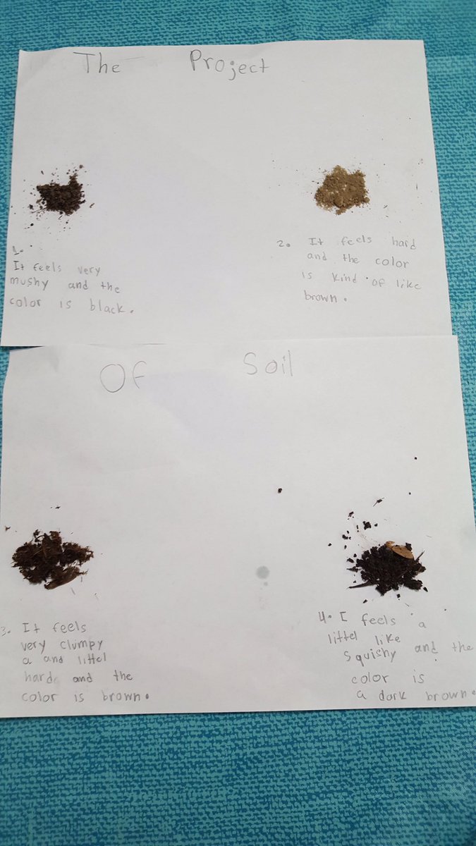 Price_3rdGrade's tweet image. Learning continues at home! Check out this soil project one of my students did - she went outside and investigated different types of soil in her neighborhood! #DistanceLearning #OneCCPS #ScienceInvestigation  #DedicatedDavisDragons