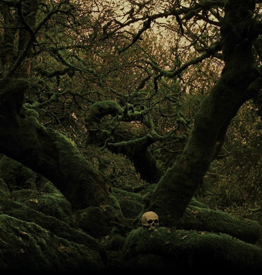 That forest, in where 'altars were heaped with hideous offerings, and every tree was sprinkled with human gore', is a iconic representation of the idea of the woods within classical antiquity worldview. Savage and creepy places filled with a dark mysticism.  #FolkloreThursday
