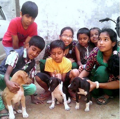 iSachinSrivstva's tweet photo. Help Feed Stray and Distressed Animals in Pune/Kanpur

#lockdown @peta @PetaIndia @PETAUK @PFAPune #AdityaMakharia #Petxi #PuneAnimalLovers #animallovers #adoptdontshop #adoptioncamp #adoptapet #animallovers #kittens #puppies #unconditionallove #savealife

https://t.co/1eKUZPfpoM https://t.co/C7iLQtL3jC