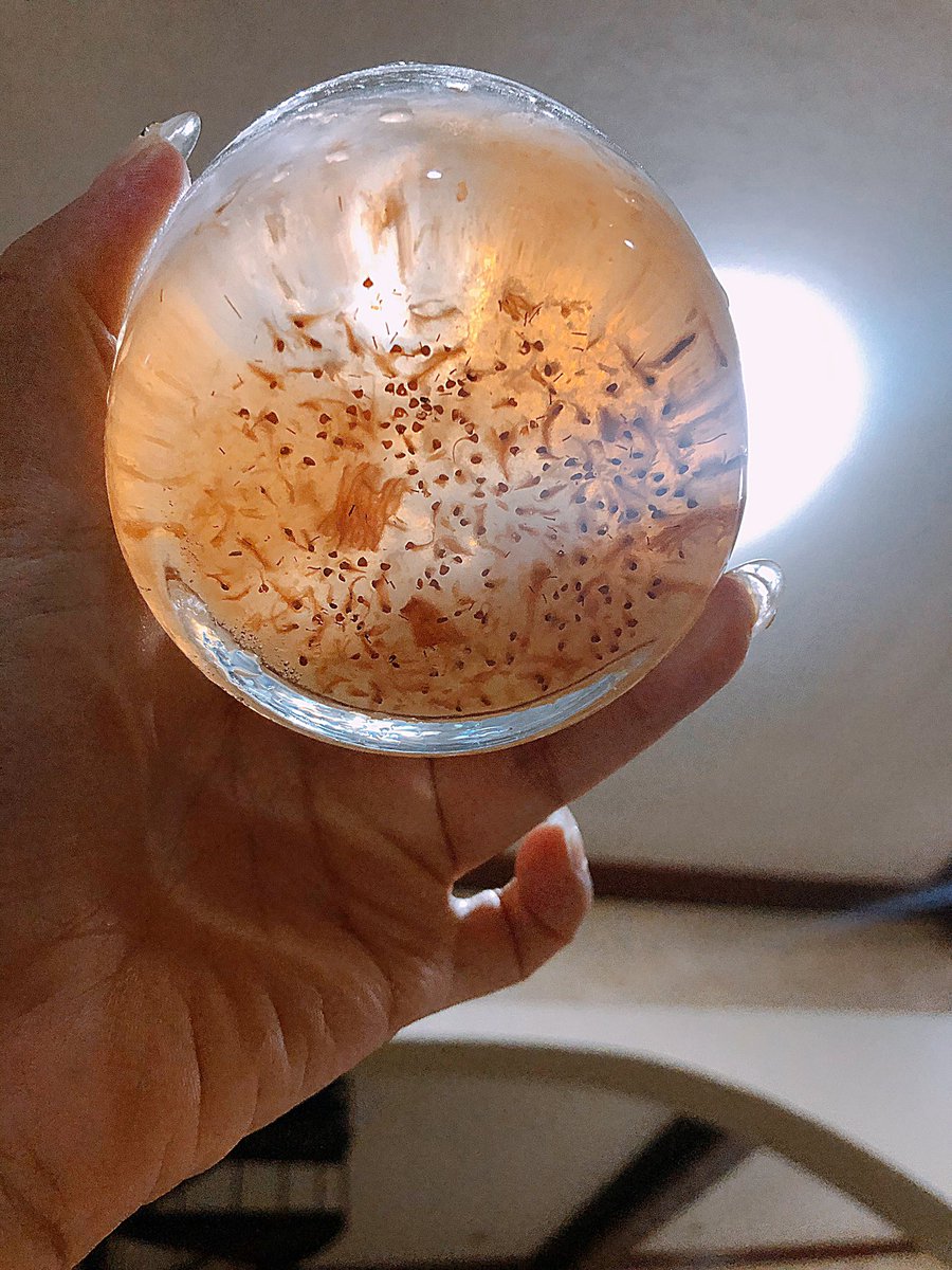 Hellokatrinaaa's tweet photo. Nothing to see here. https://t.co/dMox73pHif