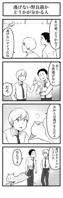 4コマ「逃げない野良猫かどうかが分かる人」 