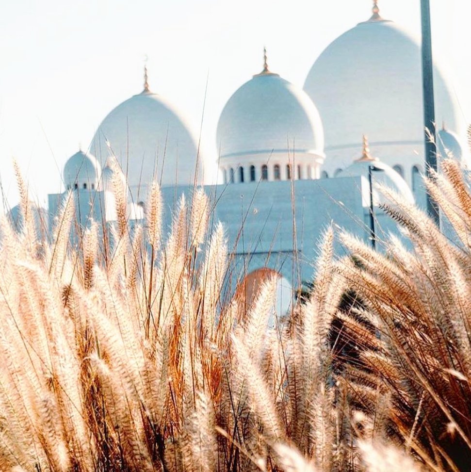 _OneDash's tweet photo. To our Muslim friends, may Allah grant you peace during this month of fasting ๐โ
โ
.โ
.โ
โ
#OneDash #ramadan #islam #quran #muslim #allah #eid #islamicquotes #ramadhan #hijab #muslimah #islamic #alhamdulillah #allahuakbar #eidmubarak #ramadanmubarak #peace #love https://t.co/iEldkQmyHu