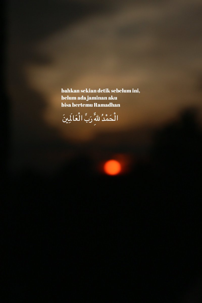 . tweet media