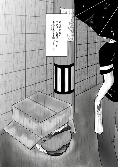 ♥💗ひきこもり応援💗♥!毎日漫画の大量サンプル掲載中!

⚠暴力・エロ・虐待描写を含みます⚠
🔞R18G🔞拾ってきたネコちゃん(女の子)を暴力で躾けて分からせるお話♥(1/3) 