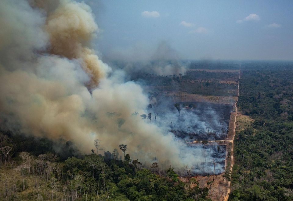 _Naeray's tweet photo. En raison de la diminution des patrouilles de la police environnementale au strict minimum dû au #COVID19 au Brésil , la déforestation en Amazonie a augmenté de 30% au mois de mars, par rapport à 2019.
326 km² de forêt tropicale auraient été rasés durant la période, selon l'INPE. https://t.co/zHh0kkb4p0