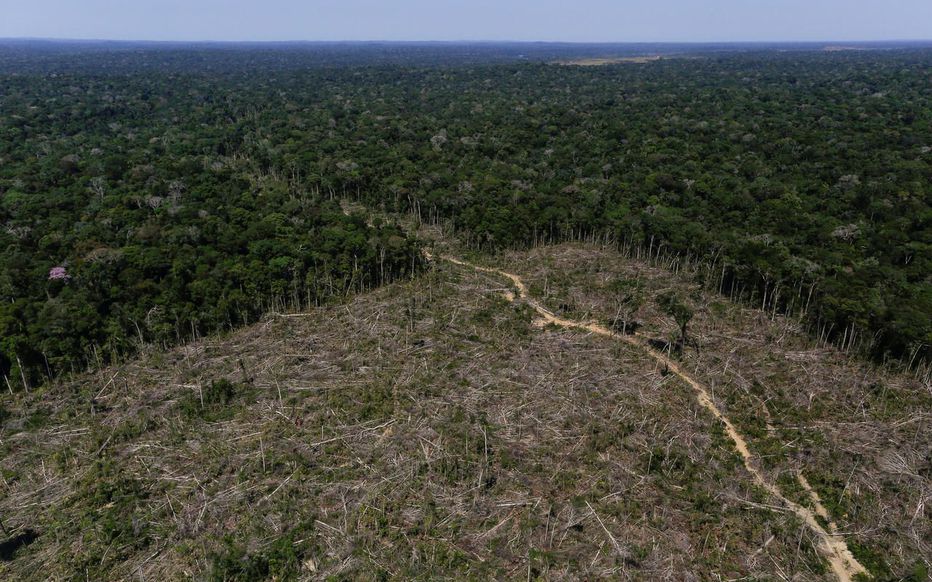 _Naeray's tweet photo. En raison de la diminution des patrouilles de la police environnementale au strict minimum dû au #COVID19 au Brésil , la déforestation en Amazonie a augmenté de 30% au mois de mars, par rapport à 2019.
326 km² de forêt tropicale auraient été rasés durant la période, selon l'INPE. https://t.co/zHh0kkb4p0
