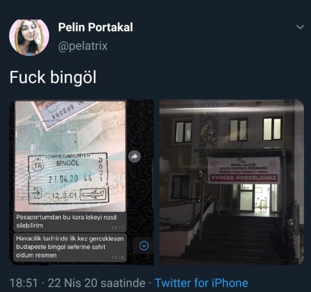 Koronavirüs tedbirleri kapsamında Macaristan'dan Bingöl'e getirilerek karantinaya alınan Pelin Portakal'ın Twitter hesabından kentle ilgili yaptığı, "Pasaportumdan bu kara lekeyi nasıl silerim" paylaşımı sonrası soruşturma başlatıldı.

 #pelinportakal
