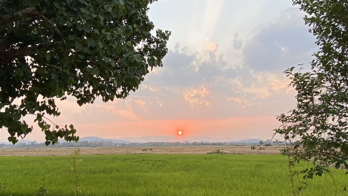 nanseasons's tweet photo. ทุ่งนายามเย็น @ น่าน ซีซั่นส์ The rice field view at Nan Seasons.
#nanseasons #ricefield #น่าน https://t.co/l6J2VZ7uP8