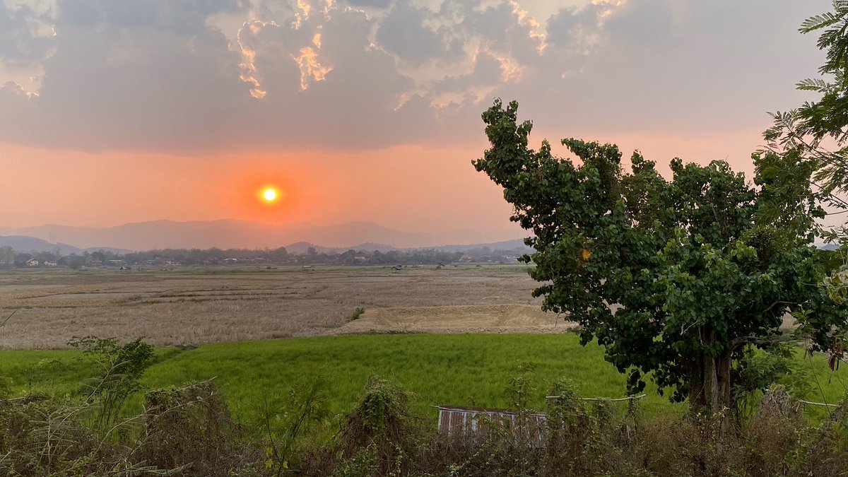 nanseasons's tweet photo. ทุ่งนายามเย็น @ น่าน ซีซั่นส์ The rice field view at Nan Seasons.
#nanseasons #ricefield #น่าน https://t.co/l6J2VZ7uP8