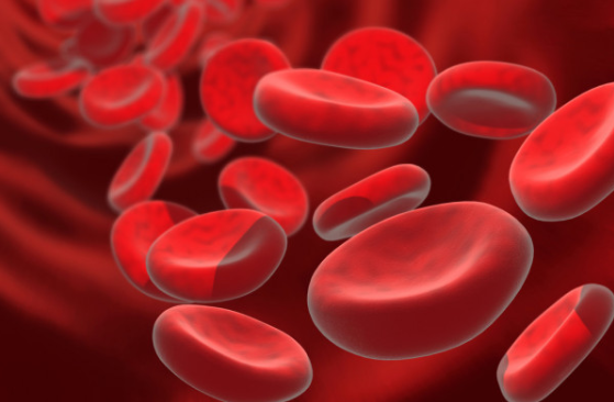 Research_NUST's tweet photo. Dr. Arshad Khan @Official_NUST investigated gold #blood micropolar nanoparticles in permeable channels in collab with @KMUTT &amp; #ChinaMedicalUniversity. Temperature of #micropolar #nanofluid increases with increase in volume fraction. @ElsevierConnect 

https://t.co/58tbrY91h4 https://t.co/rPd77TgSi3