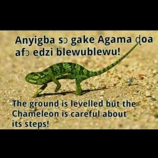 MAdjinbaruk's tweet photo. https://t.co/cJC6zHr26P