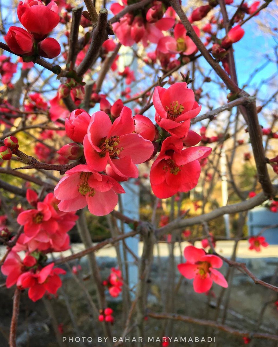 “ You only live once, but if you do it right, once is enough.” — Mae West.

Have a peaceful day everyone
