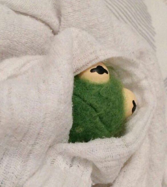 Daddu as Kermit the frog; a thread