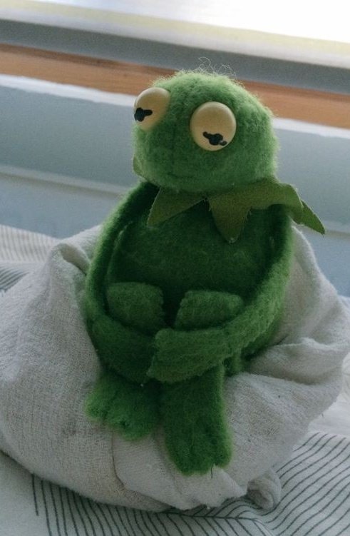 Daddu as Kermit the frog; a thread