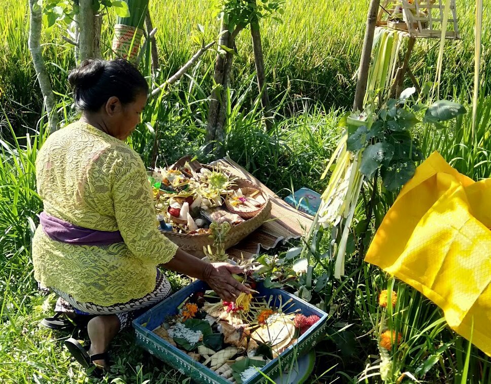 Jelantik5's tweet photo. Bhw manusia berhutang nyawa sama pepohonan
Kami bukan penyembah pohon
Kami menghargai / menghormati pohon
Kami memanjatkan puji syukur atas keberadaan pohon
Semoga bermanfaat bagi kita & alam lingkungan
Itu salah satu cara kami berbhakti kepada Sang Pencipta.
Manggalamastu 🙏 https://t.co/NfXWQctZ6t