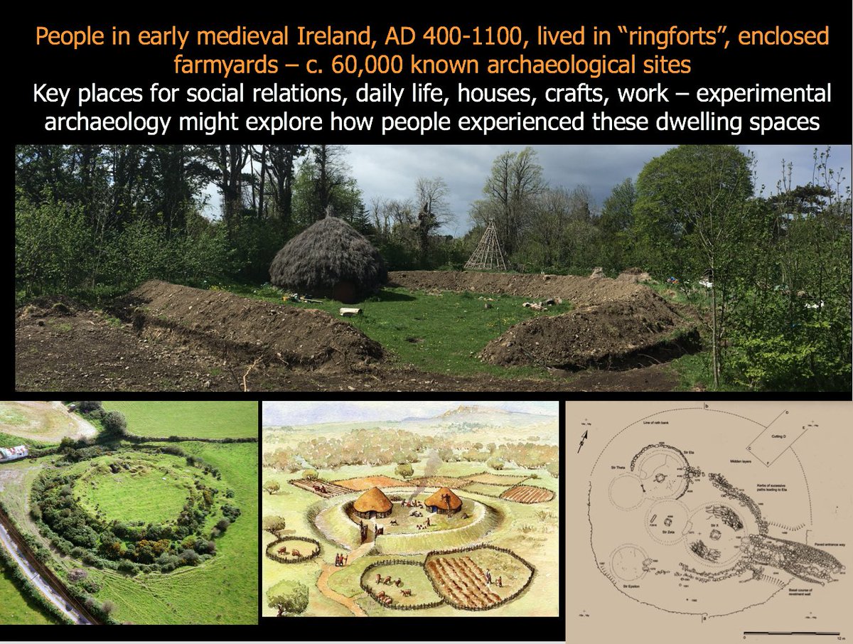 10. The early medieval house project explored how houses were built, thatched, used and experienced in early medieval Ireland, AD 400-1100.  @ucdarchaeology  #UCDEarthWalks  #virtualwalks