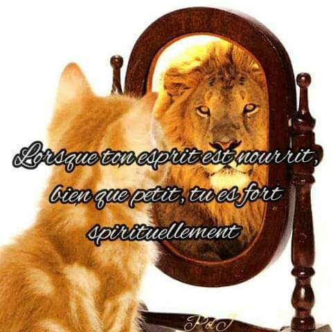 KensonDomond's tweet photo. https://t.co/6WhKeeAS56