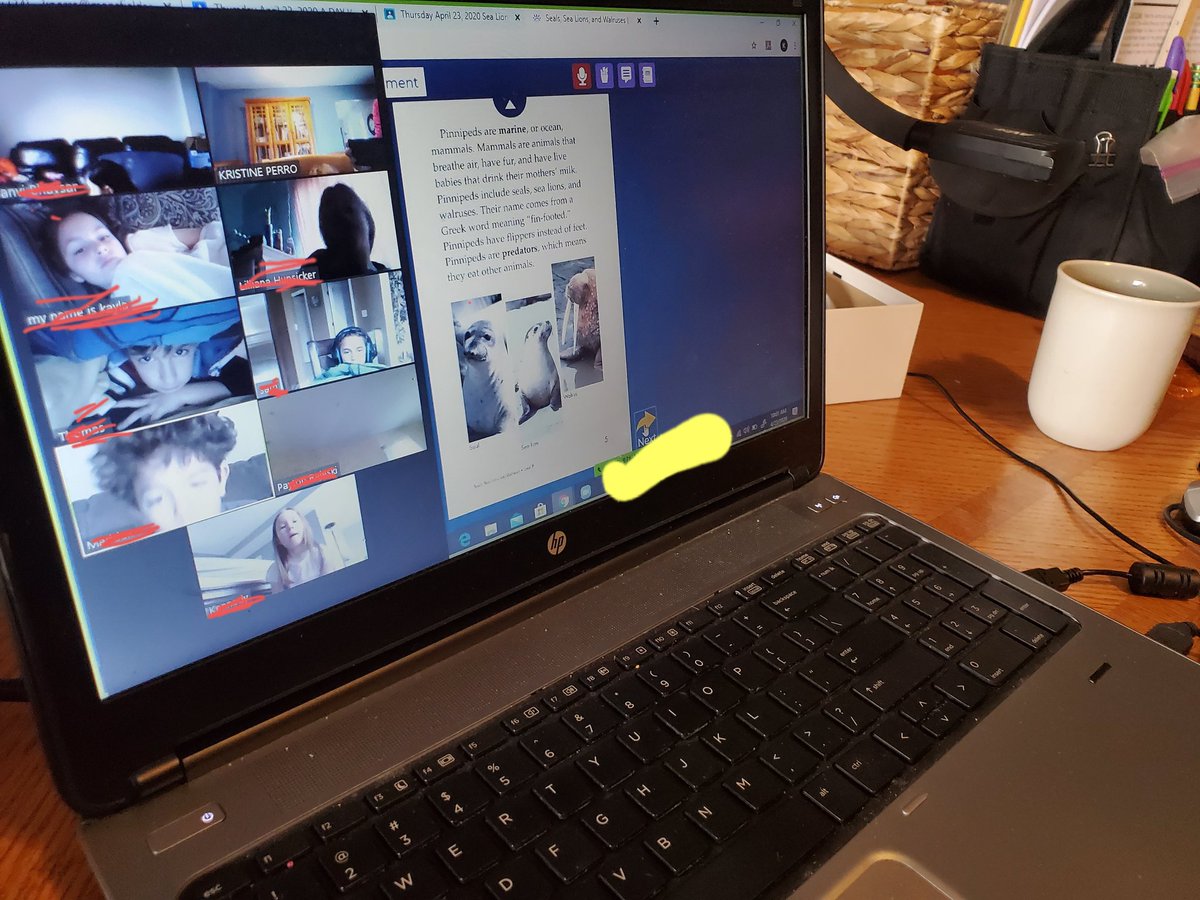 MTSD Grade 3 Perro tweet media