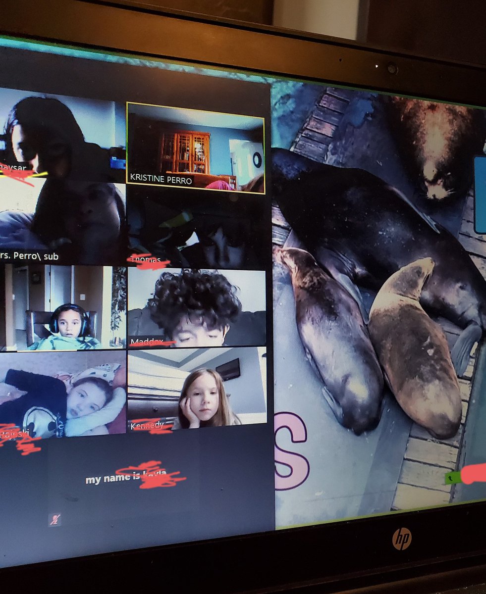 MTSD Grade 3 Perro tweet media