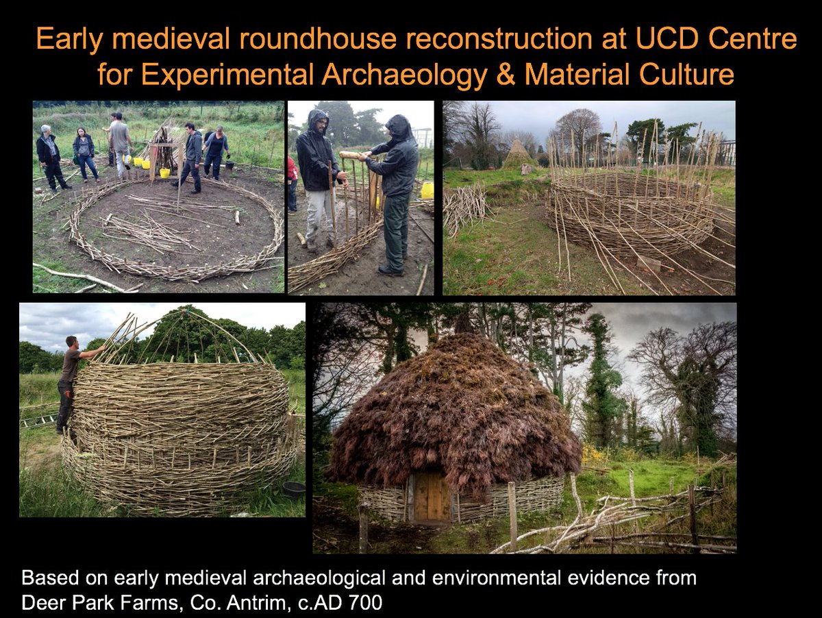 13. The CEAMC early medieval house reconstruction sought to understand an 8th century house from an archaeological dig at Deer Park Farms, Co. Antrim.  @ucdarchaeology  #UCDEarthWalks  #virtualwalks