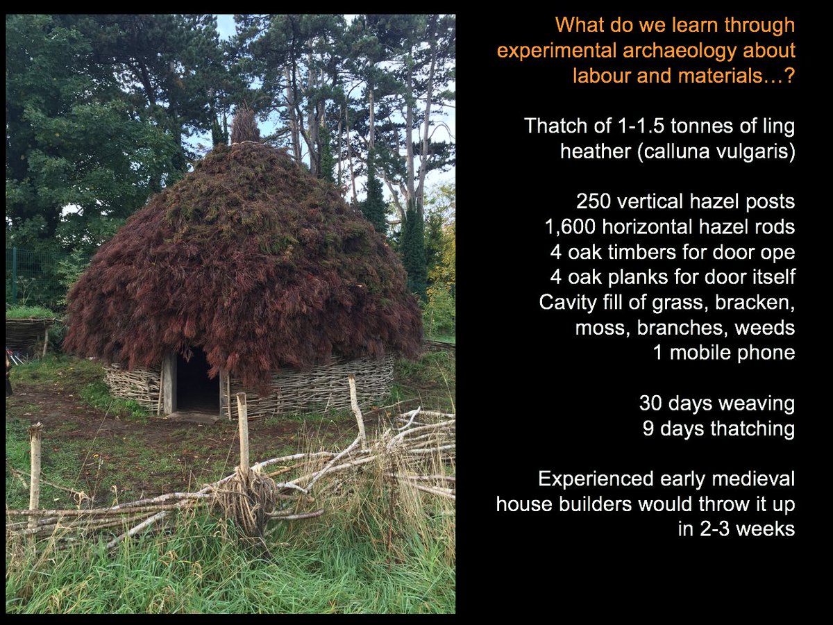 14. Practical issues of materials, technologies, time & labour can be thought about, but of course we are not experienced early medieval builders - but it certainly gets us to think about how people managed sustainable woodland and other resources  #UCDEarthWalks  #virtualwalks