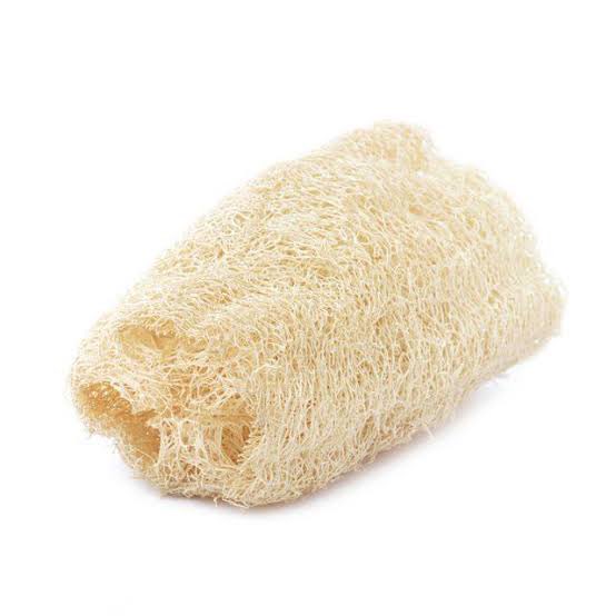 hyper_thread's tweet image. A throwback to this local sponge.
.
.
.
#ThrowbackThursday #Hyperthreadng