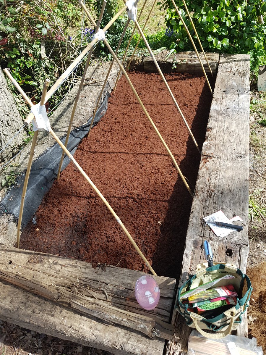 Adding coconut mulch to this bed today from bricks I need to soak in water to get mulch from. Cool af.Planting runner bears at each pole and red onions in the middle probably two rows so maybe 8 onion plants.