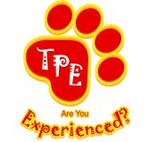 The Pet Experience tweet media