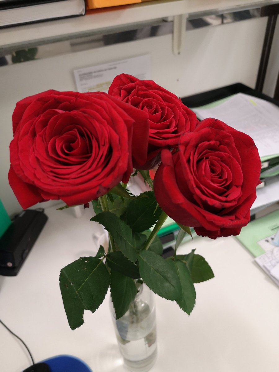 Lau_SeRo's tweet photo. FELIÇ SANT JORDI!  El dia mes bonic de l'any! 🌹🌹❤️ https://t.co/0ZAelWUjri