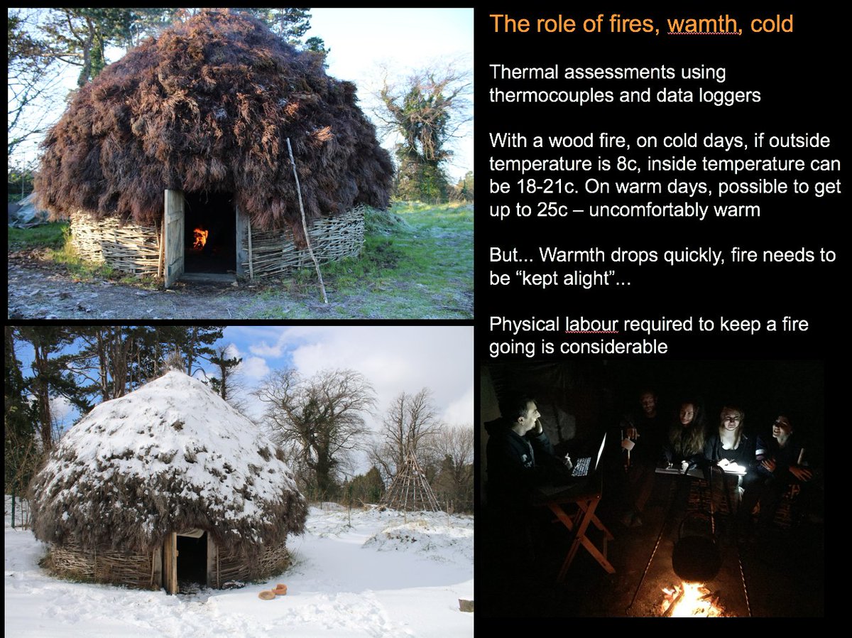 19. The UCD early medieval house reconstruction led us back to a phrase in early Irish law, the need for a house to have a "fire always alit". These houses requires lots of work to keep warm - that's physical work...  @ucdarchaeology  #UCDEarthWalks  #virtualwalks