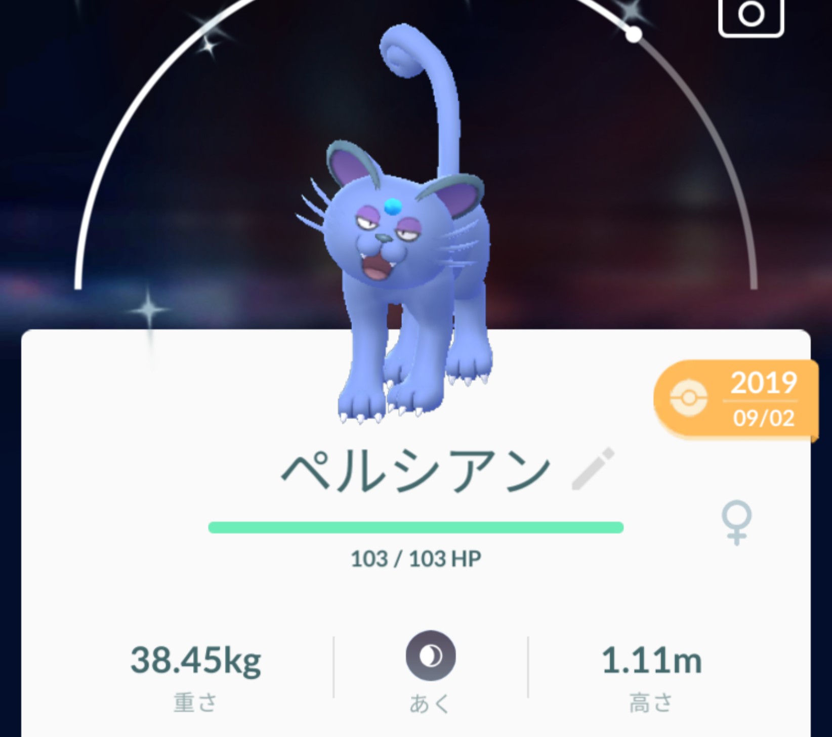 競売 ポケモンセンター アローラペルシアン ポケモン ぬいぐるみ アローラニャース ぬいぐるみ Nicholaskralev Com