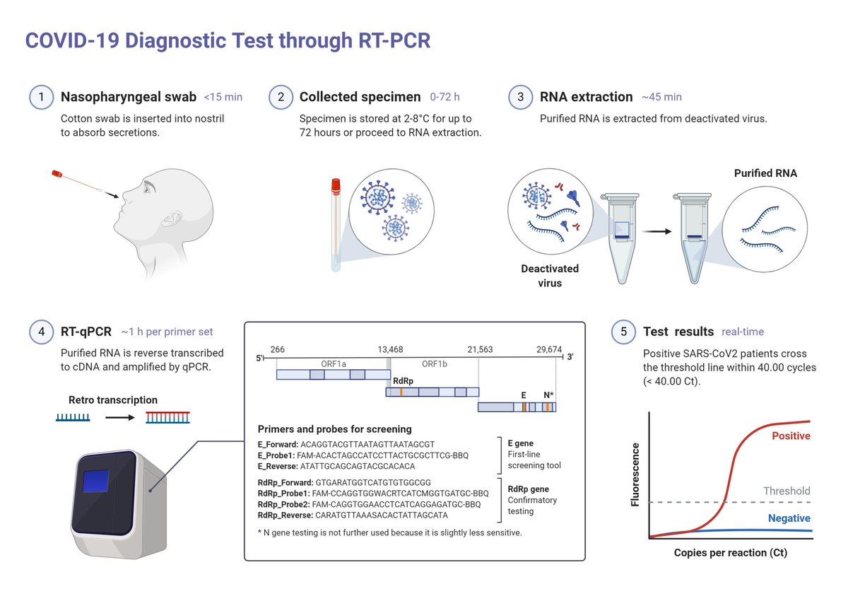 So how do we test for  #COVID19? A thread #COVID_19 is caused by a virus called  #SARSCoV2 which is a non-living particle with genetic material that is surrounded by proteins and lipids that can cause disease. It's spread mainly by coughing and sneezing 1/n  @AcademicChatter