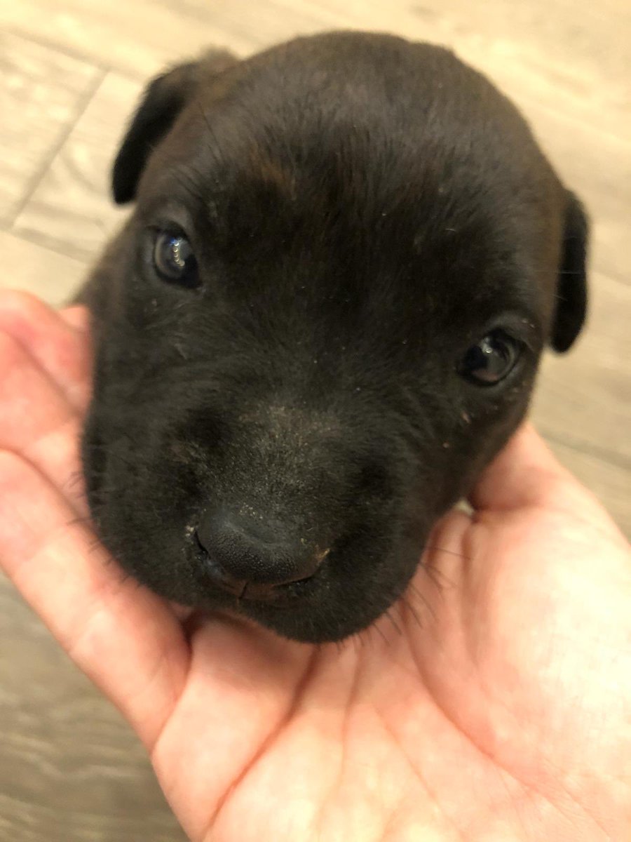 Meleğimiz... #Doraicinadalet