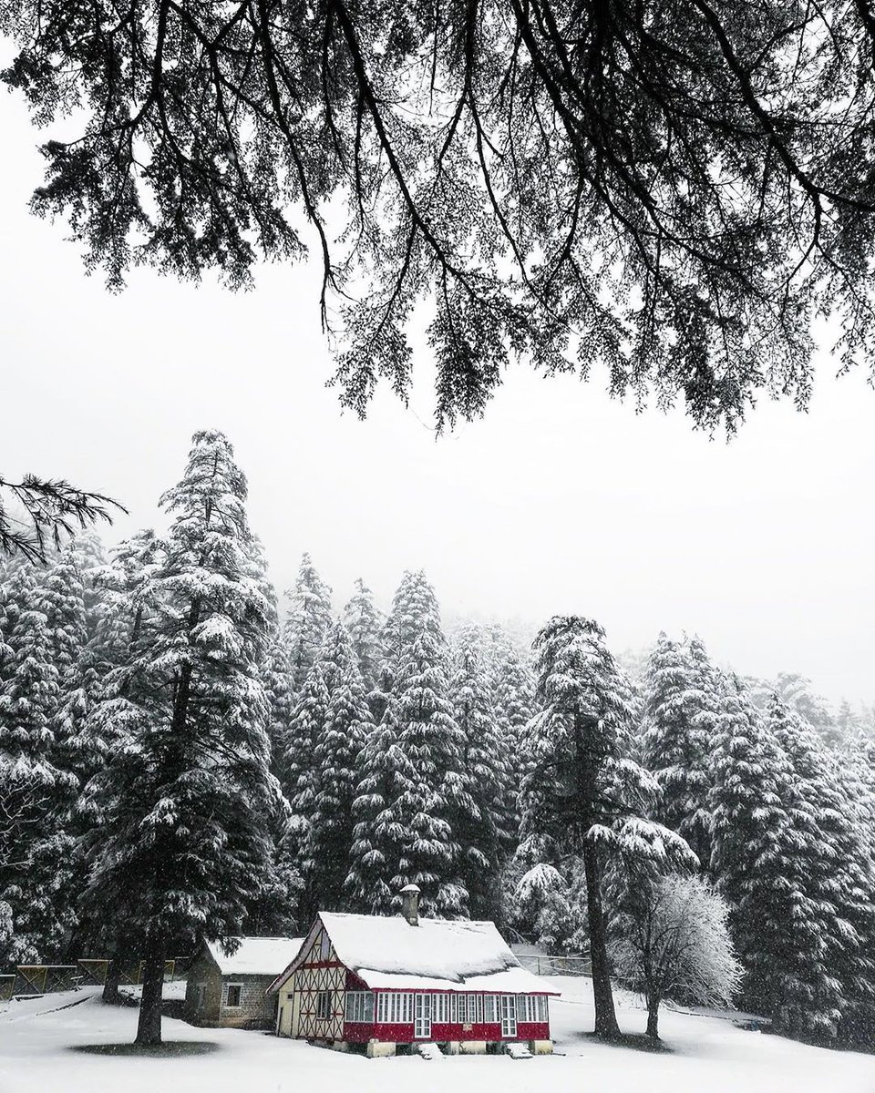 TheVisualYatra's tweet photo. Do more things that make you forget to check your phone.

Image shared by @outcasted_maverick #Himalayas #kajjiar #Himachal https://t.co/Qex97MzcVP