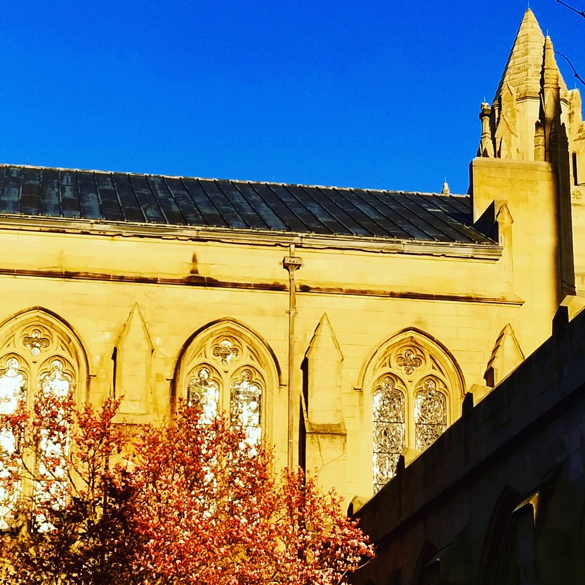daryldeluca's tweet photo. Late afternoon setting sun drenches Marsh Chapel & the stain glass windows that adorn BU's Marsh Chapel at Central Campus along Comm Ave. Hang in there BU Terriers we'll be back at it again soon. photo courtesy of Daryl DeLuca #WashYourHands #ReduceTheCurve @BU_Tweets @617USMC https://t.co/KhW43X0nXI