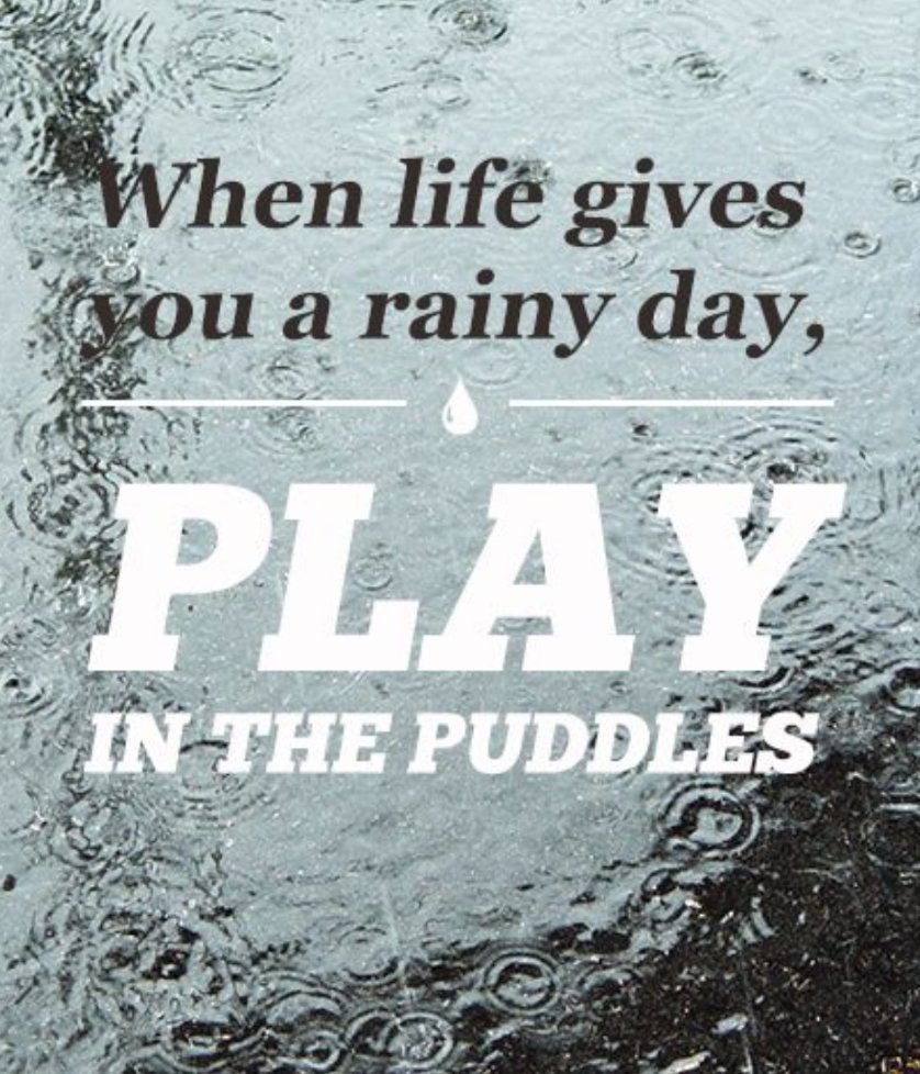 gratefulhounds's tweet photo. #gratefulgreyhounds #inspirePopeHS ☔ https://t.co/3ksmDgyatM