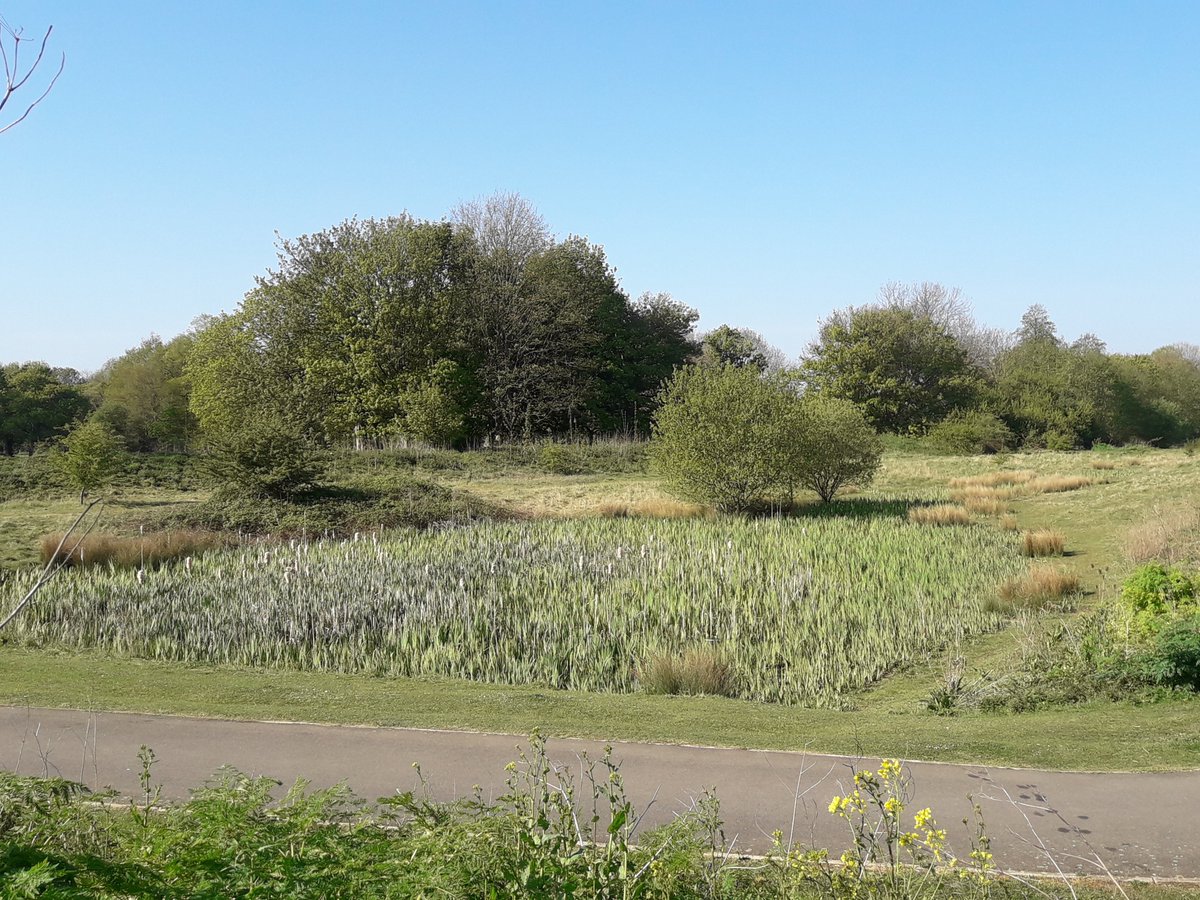 ListersGeo's tweet photo. A lovely day in Northampton to undertake a #geotechnicalsite investigation. 

#socialdistancing 
#governmentguidelines
#riskassesments
#duediligence

Things we have always dealt with in our industry. #beingsafe https://t.co/pDOC9QcKPf