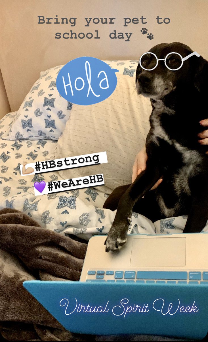 ChristieColwell's tweet photo. Today’s theme during our @hbschools Virtual Spirit Week is one I think we should add to our regular calendar: Bring Your PET to School Day! 🐾🐕 #HBstrong #WeAreHB https://t.co/8SRdPbTtJH
